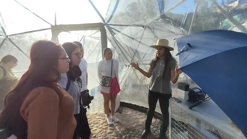 Pollution Pods en Guanajuato